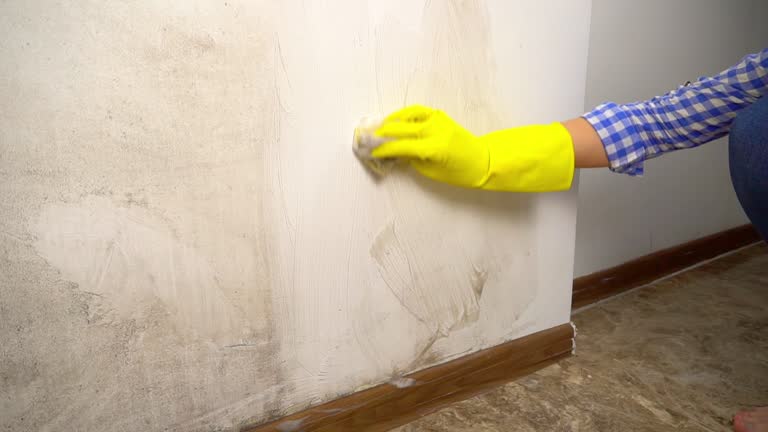 Best Dehumidification Services  in Pierce, NE