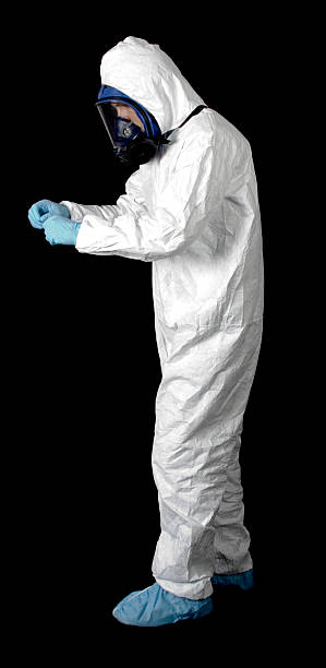 Best Basement Mold Removal  in Pierce, NE
