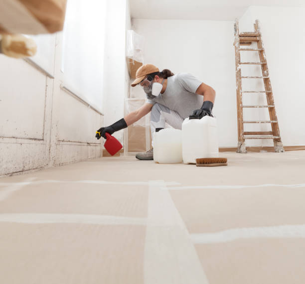 Best HVAC Mold Inspection and Cleaning  in Pierce, NE